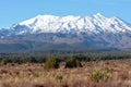 Landscape of Mount Ruapehu in Tongariro National Park Royalty Free Stock Photo