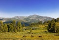 Landscape of the Mountain Altai, Siberia Royalty Free Stock Photo