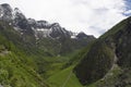 Landscape with mountain backdrop, Valley of Flowers, Uttarakhand, India Royalty Free Stock Photo