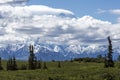 Landscape of the mountain `Denali` in Denali National Park Royalty Free Stock Photo