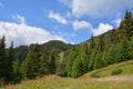 A landscape about a mountain forest.