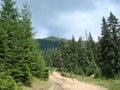 The mountain range of the Marmaros of the Ukrainian Carpathians near the town of Rakhiv of the Transcarpathian region. Ukraine. 08 Royalty Free Stock Photo