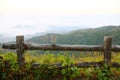 Landscape mountain and forest in the nature with cloud, People walking in the green forest and the big mountain which feeling good