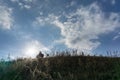 A Landscape of mountain hill with two horses silhouette on it, this is a view from a hill in Maumere Flores with the Clouds at the