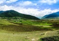 Landscape of mountain Phobjikha valley, Bhutan Himalayas Royalty Free Stock Photo
