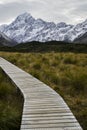 Roadtrip time! New Zealand, Mount Cook Royalty Free Stock Photo