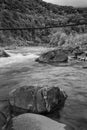 Landscape mountain river in autumn forest. View of the stony rapids. Black and white photo. Royalty Free Stock Photo