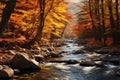 Landscape of a mountain river flowing through a forest in autumn colors Royalty Free Stock Photo