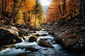 Landscape of a mountain river flowing through a forest in autumn colors Royalty Free Stock Photo