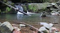 Landscape of a mountain river in the forest in early autumn and late summer. water in a natural stream. beautiful and relaxing Royalty Free Stock Photo