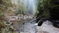 Landscape of a mountain river in the forest in early autumn and late summer. water in a natural stream. beautiful and relaxing Royalty Free Stock Photo