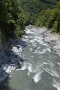 Landscape with mountain river with stormy flow of blue river in grey stone canyon overgrown lush green forest in bright sunny. Royalty Free Stock Photo