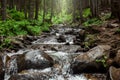 Landscape, mountain stream, cascades on a mountain river. The concept of active holidays, holidays