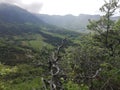 Landscape mountain tree nature Europe cloud wood green Royalty Free Stock Photo