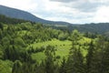 Landscape of mountain Vlasic with sheeps Royalty Free Stock Photo