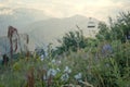 Landscape with mountains and clouds. Bird`s eye view. Early, Sunny morning. In the foreground-mountain flowers. Distant Royalty Free Stock Photo