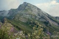 Landscape with mountains and clouds. A bird`s-eye view. Early, Sunny morning. Mountain flowers are in the foreground. Royalty Free Stock Photo