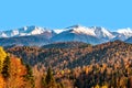 Landscape of mountains covered with autumn forest and snow-capped mountain peaks Royalty Free Stock Photo
