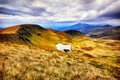 Landscape mountains and field under blue sky Royalty Free Stock Photo