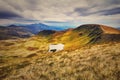 Landscape mountains and field under blue sky Royalty Free Stock Photo