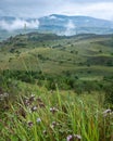 Landscape with mountains and fields with grass, flowers on a cloudy summer day after rain with a haze Royalty Free Stock Photo