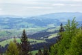 Landscape of a mountains with fir-tree and green valley Royalty Free Stock Photo