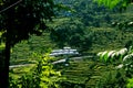 Landscape with mountains, forest and pines, cottages, mountain houses & terrace farms. step farming