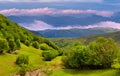 Landscape of the mountains with fresh green leaves