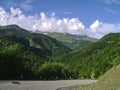 Landscape in the mountains with green bushes, trees and rocky mountains