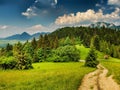 Landscape of Pieniny mountain range and Tri Koruny peaks in Slovakia and Poland. Royalty Free Stock Photo