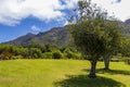 Landscape and Mountains, Kirstenbosch National Botanical Garden panorama, Cape Town