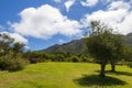 Landscape and Mountains, Kirstenbosch National Botanical Garden panorama, Cape Town