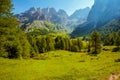 Summer time in Dolomites. landscape with mountains and trees Royalty Free Stock Photo