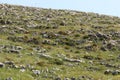 Landscape in the mountains in northern Israel