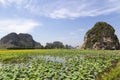 Landscape with mountains, rice fields and river Royalty Free Stock Photo