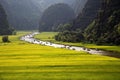 Landscape with mountains, rice fields and river Royalty Free Stock Photo