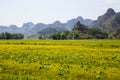 Landscape with mountains, rice fields and river Royalty Free Stock Photo