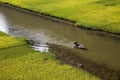 Landscape with mountains, rice fields and river Royalty Free Stock Photo