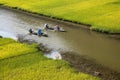 Landscape with mountains, rice fields and river Royalty Free Stock Photo