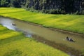 Landscape with mountains, rice fields and river Royalty Free Stock Photo