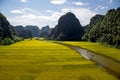 Landscape with mountains, rice fields and river Royalty Free Stock Photo