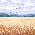 Landscape with Mountains and Ripe Wheat Field Royalty Free Stock Photo