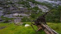 Landscape with mountains Royalty Free Stock Photo