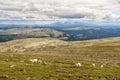 Landscape with mountains and sheep, Norway Royalty Free Stock Photo