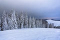 Landscape with mountains, snowy forest and beautiful sunrise. Majestic winter scenery. Dramatic sky. Meadow covered with snow.