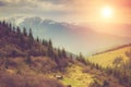 Landscape in the mountains:snowy tops and spring valleys. Fantastic evening glowing by sunlight.