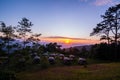 Landscape of mountains , sunset ,pine tree ,Camping tent ,Thailand