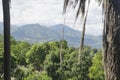 Landscape of mountains, surrounded by humid forests Royalty Free Stock Photo