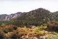 Landscape with moutains and forest, tiltshift view Royalty Free Stock Photo