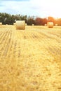 A landscape of a mown wheat field at sunset with huge haystacks. Summer. Agriculture. Rest in the village. Organic food and Royalty Free Stock Photo